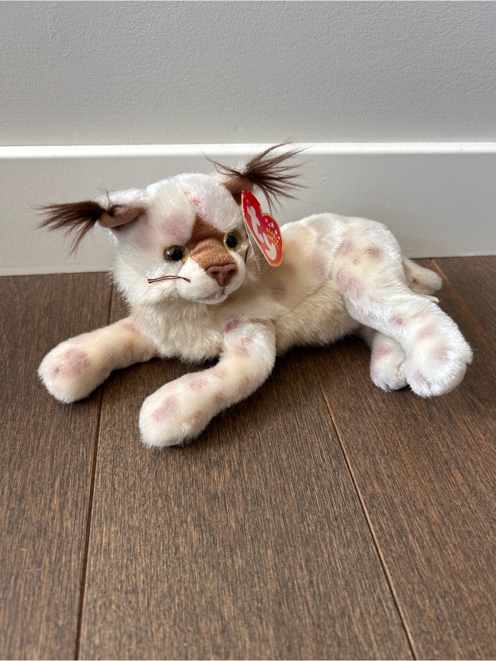 TY‎ 2001 Tracks cat / bobcat / lynx beanie babies
